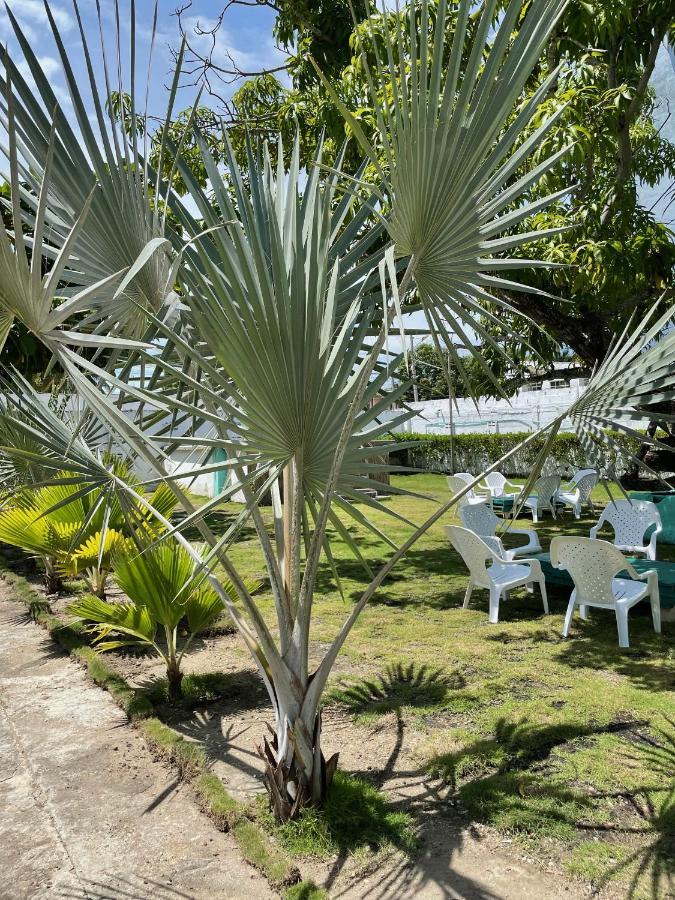 Costa De Vikingos Hotel โตลู ภายนอก รูปภาพ
